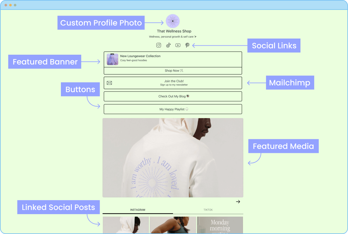 How to Use Later Link in Bio to Track Performance