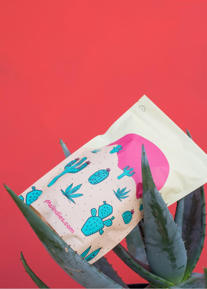 A MeUndies package with a cactus pattern, balanced on a desert plant against a bright red background